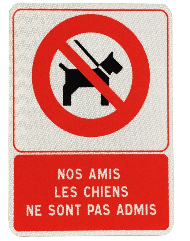 chien